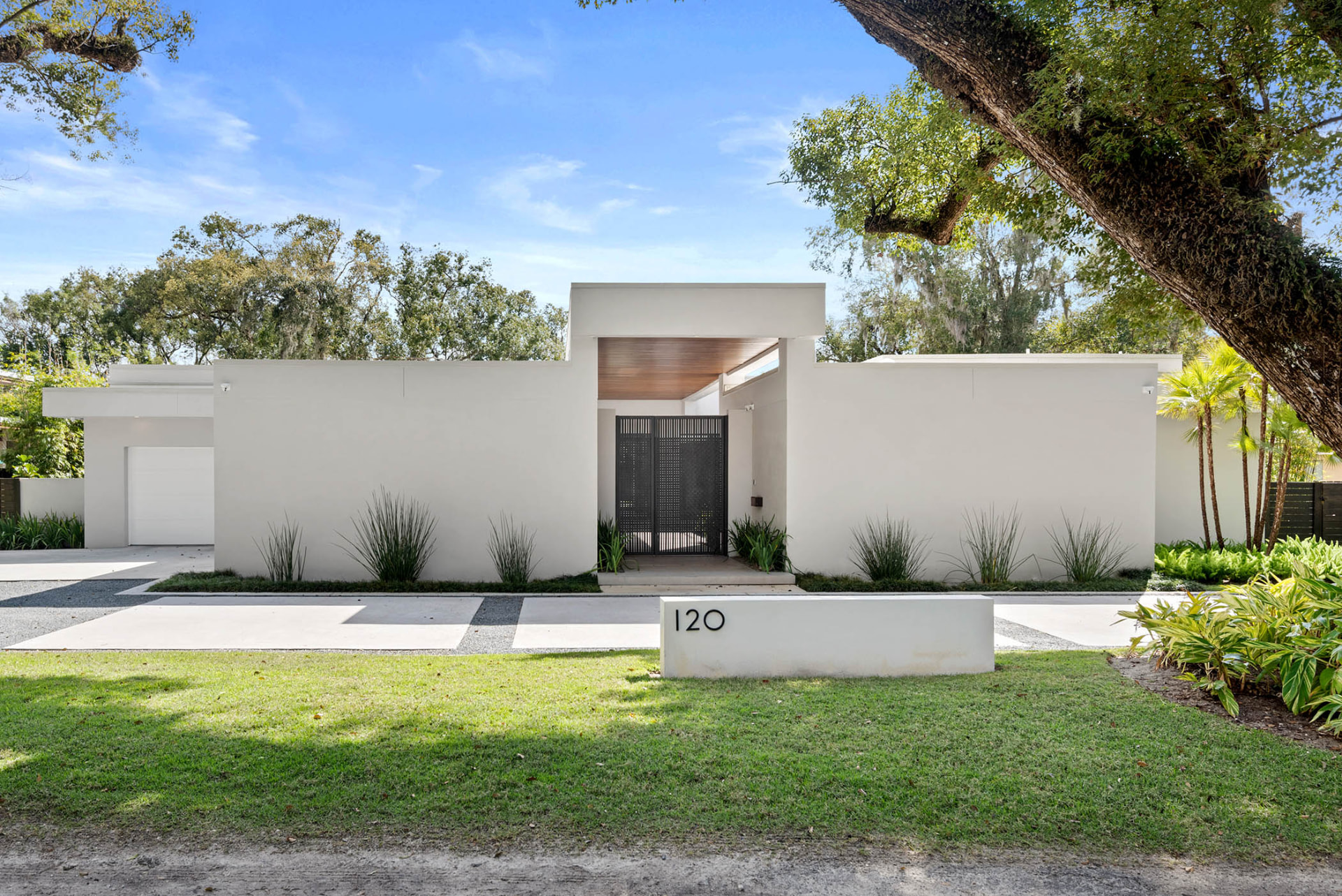 Street elevation of Spring: a single-storey white stucco residence with flat roof planes, a recessed wood-lined entry behind a dark perforated metal gate, ornamental grasses and a live oak overhead.