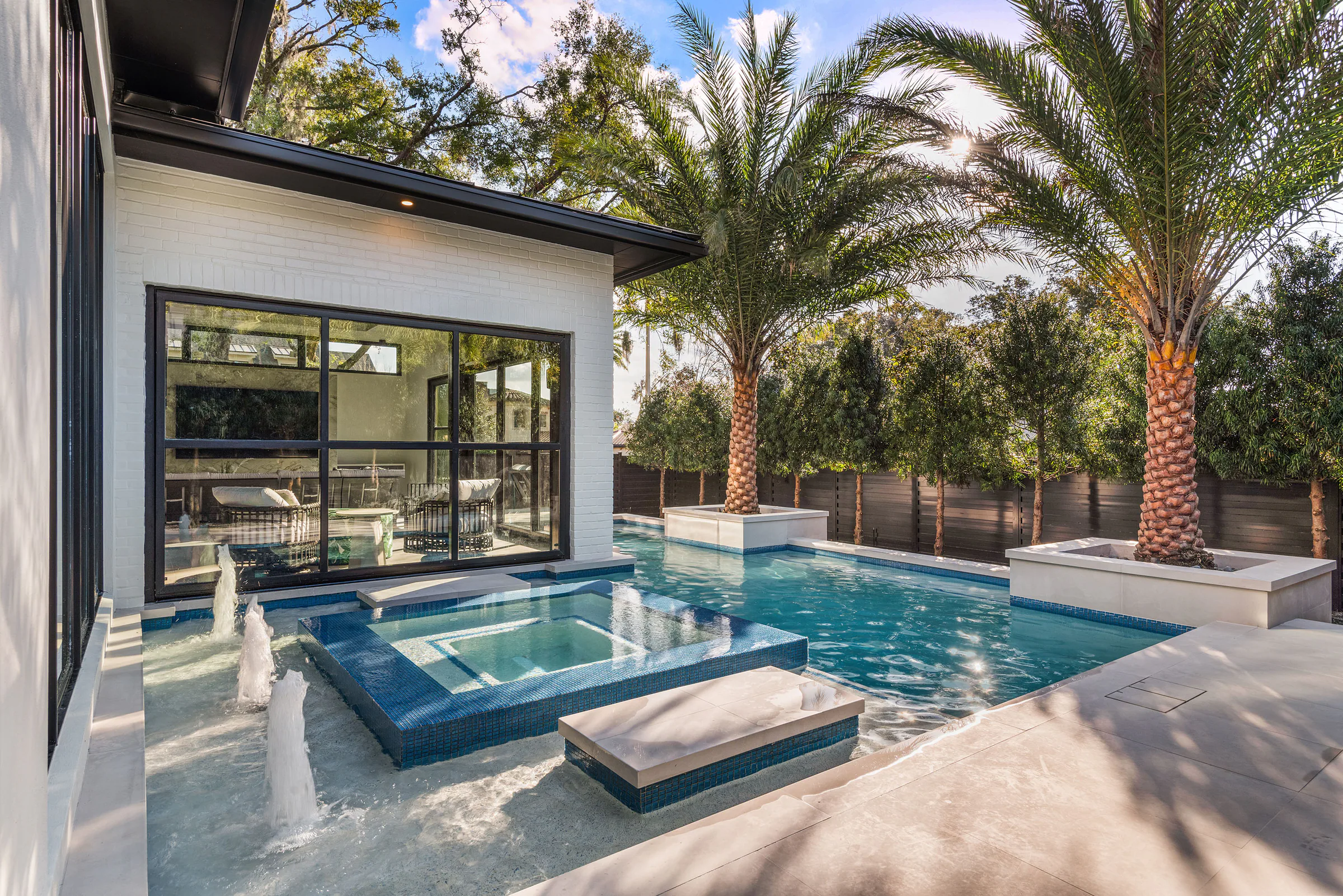 Pool terrace and rear elevation beneath mature palm trees.
